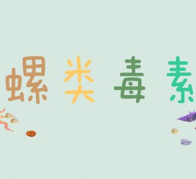 秒懂：螺類(lèi)毒素