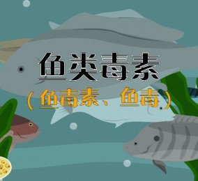 食品有意思：吃魚也中毒？ 