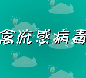 食品有意思：如何預(yù)防禽流感病毒感染？ 