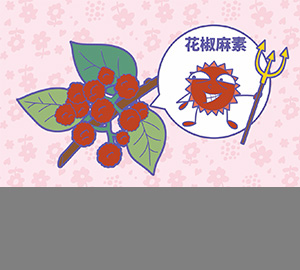 科普視頻：花椒為什么那么麻？（匹配百科詞條：花椒、花椒麻素）