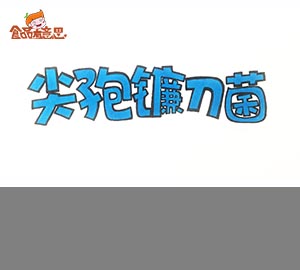 科普視頻:簡(jiǎn)說尖孢鐮刀菌